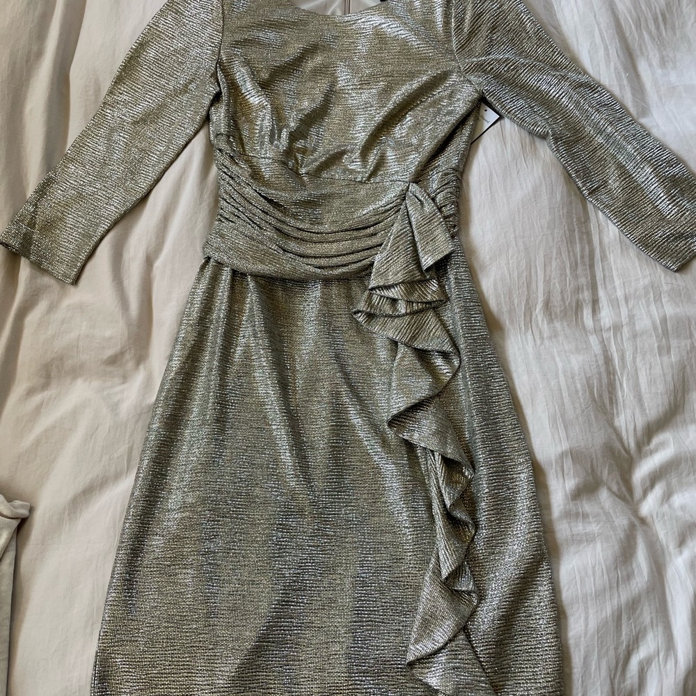 Elegant Silver Dress